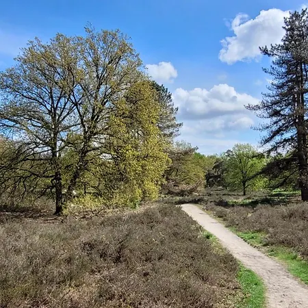 Bnb Overloon Отель типа 