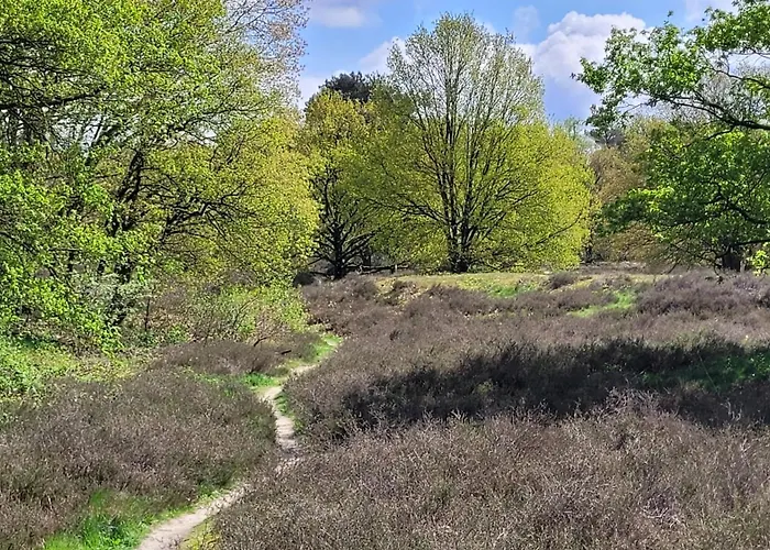 Panzió Bnb Overloon Overloon