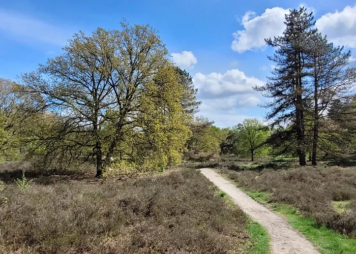 Bnb Overloon Отель типа 