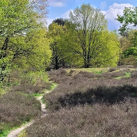 住宿加早餐酒店 Bnb Overloon Overloon