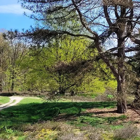 Bnb Overloon 住宿加早餐酒店 Overloon